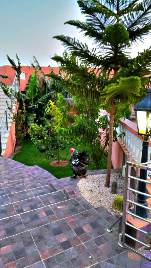 Riad Dar Salam Hotell Agadir Exteriör bild